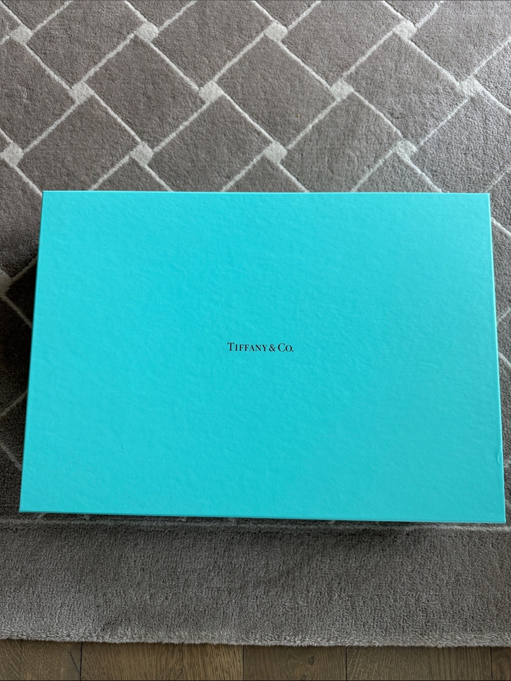 Tiffany & Co. Robin's Egg Blue Presentation Box